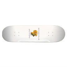squirrel skateboard