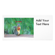 Squirrel Valentine Photo Greeting Card