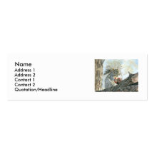 Squirrel with Apple profile/business card
