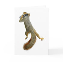 Squirrel with Cell Phone Cards