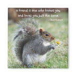Squirrel with Daisy Friendship Quote Magnet