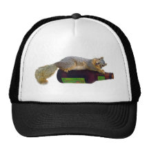 Squirrel with Empty Beer Bottle Mesh Hat