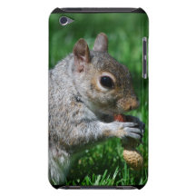 Squirrel with Nut iTouch Case Barely There iPod Cases