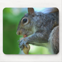 Squirrel with Nut Mouse Pad
