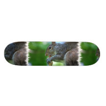Squirrel with Nut Skateboard