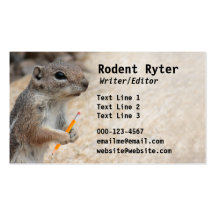 Squirrel Writer Business Card Template