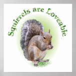 Squirrels are Loveable Poster