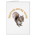 Squirrels are my World Cards