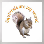 Squirrels are my World Poster