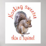 Squirrels are Sweet Poster