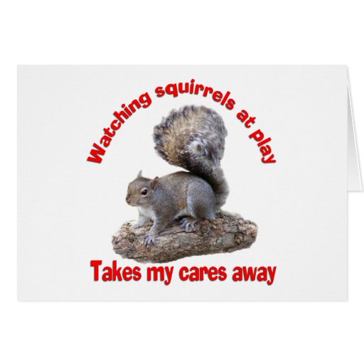 Squirrels at Play Card