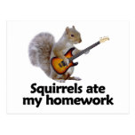 Squirrels ate my homework post card