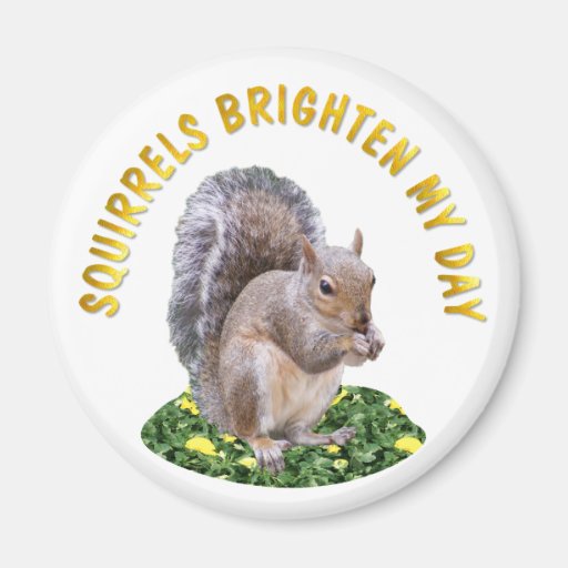 Squirrels Brighten My Day Magnet