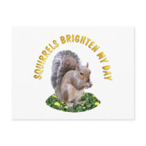 Squirrels Brighten My Day Postcard