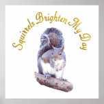 Squirrels Brighten My Day Poster