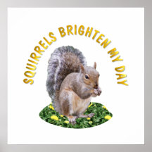 Squirrels Brighten My Day Posters