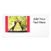 Squirrels in Love Customized Photo Card