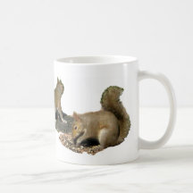 Squirrels Just Wanna Have Fun! Coffee Mugs