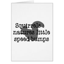 Squirrels : Natures Little Speedbumps