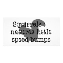 Squirrels : Natures Little Speedbumps Custom Photo Card