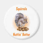 Squirrels Nuttin Better Fridge Magnets