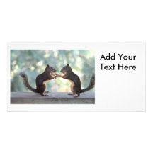 Squirrels Sharing a Peanut Photo Customized Photo Card
