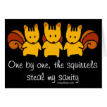 Squirrels steal my sanity greeting cards