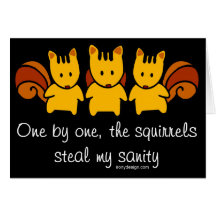 Squirrels steal my sanity greeting cards