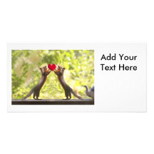 Squirrels with Heart Photo Greeting Card