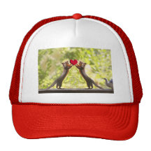 Squirrels with Heart Trucker Hats