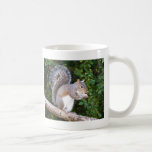 Squrrel Eating Bread Coffee Mug