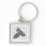 SR-71 Blackbird, the fastest supersonic spy plane keychains