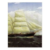 SS Dunedin Ship Postcard