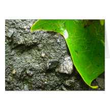st annes leaf notecard