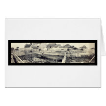 St Augustine Alligator Photo 1910 Greeting Card