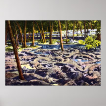 St. Augustine Florida Alligator Farm Print