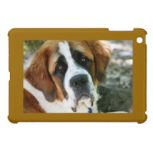 St. Bernard