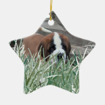 St Bernard dans l'herbe Décoration De Noël