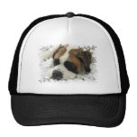 St Bernard Dog Baseball Hat