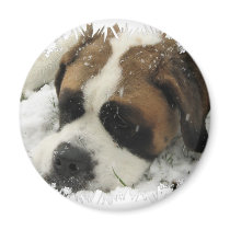 St Bernard Dog Magnet