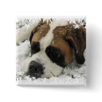 St Bernard Dog Square Button