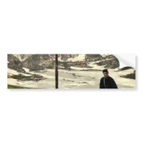 St. Bernard dogs, Valais, Alps of, Switzerland cla Bumper Stickers