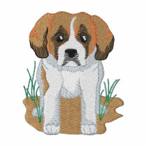 St. Bernard