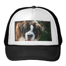 St. Bernard Mesh Hat