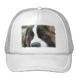 St Bernard Puppies Baseball Cap Trucker Hats
