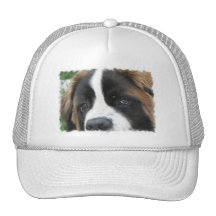 St Bernard Puppies Baseball Cap Trucker Hats