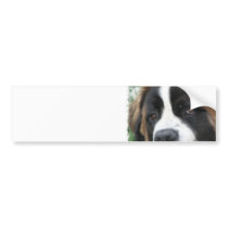 St Bernard Puppies Bumper Sticker