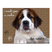 St Bernard Puppy Cookie postcards