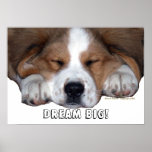 St. Bernard Sleeping Puppy Dog : Dream BIG! Poster