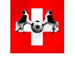 St Bernard Swiss Soccer flag of Switzerland gifts t-shirts